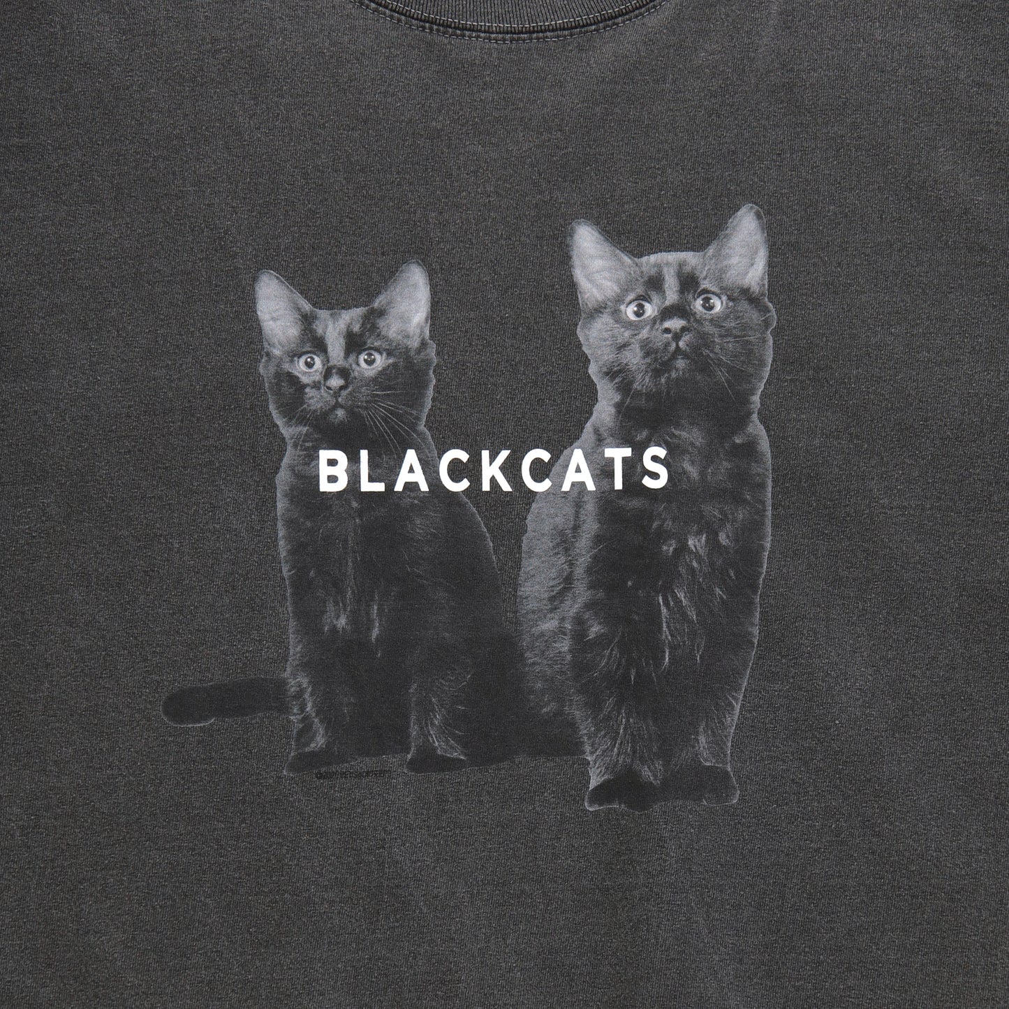 【Black cat】Cat Printed Crew T-shirts(ヘビーウェイト&ビッグシルエット) c008